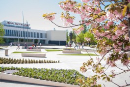 «Новый фонтан, цветы и Ленин»: как выглядит площадь у Дома искусств после благоустройства 