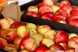 Импорт фруктов в Калининградскую область снизился на 10%