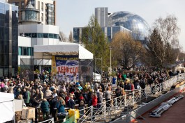 «Рыбная ярмарка, концерты и мастер-классы от шефов»: программа Дня селёдки в Калининграде